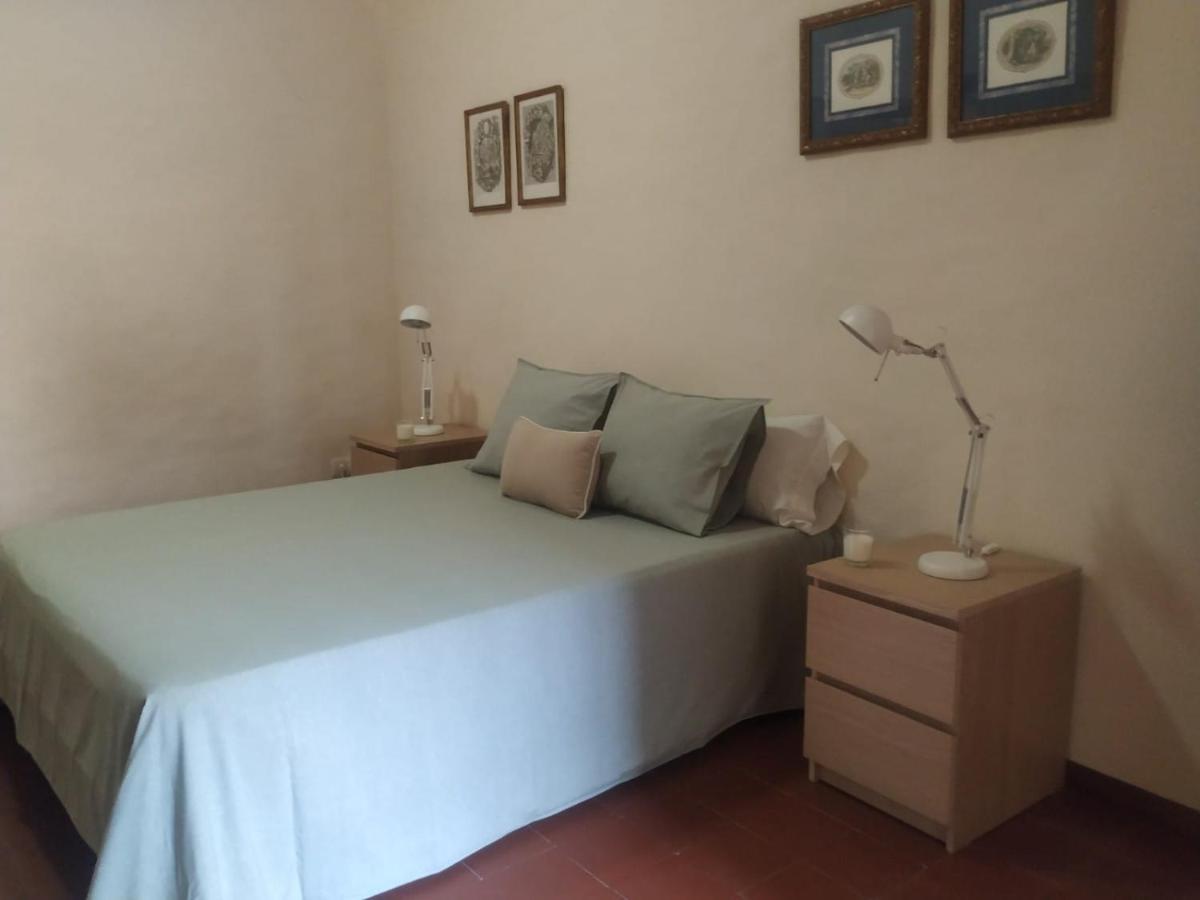 Alfacs Apartment Sant Carles De La Rapita Exterior photo